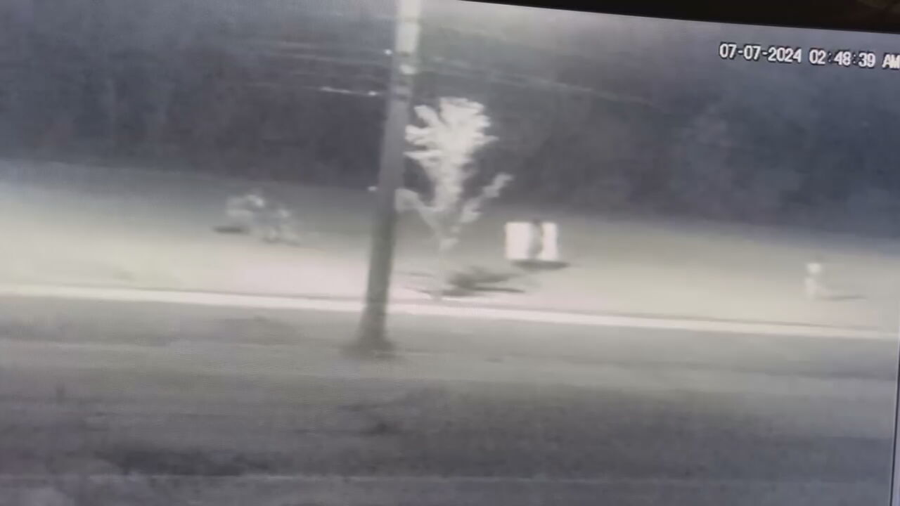 mellwood theft